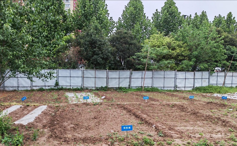 1721896126557985.jpg 圖片25.jpg