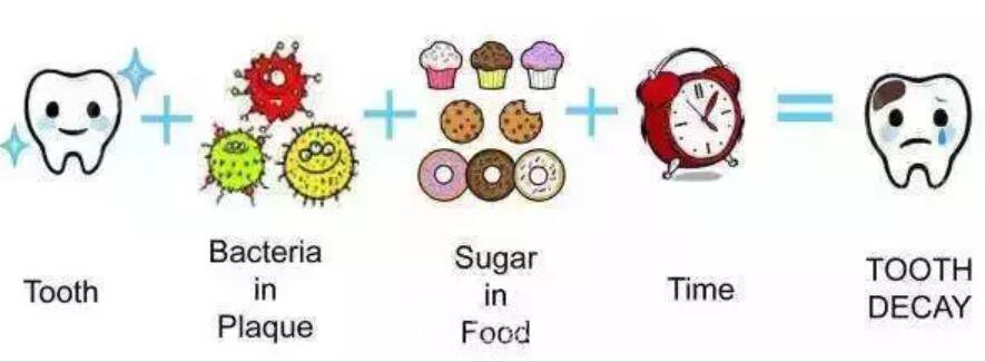 一口牙里，哪顆牙齒較容易長蛀牙？