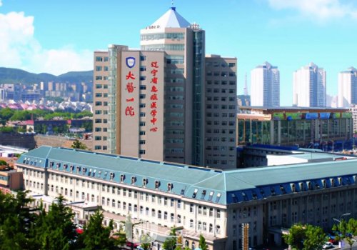 大連秦宏智和王金奎誰厲