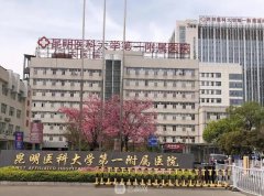 昆明正規(guī)的美容醫(yī)院有哪