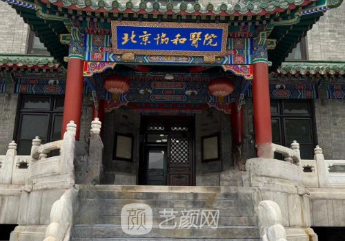 北京協(xié)和隆鼻專家排名一