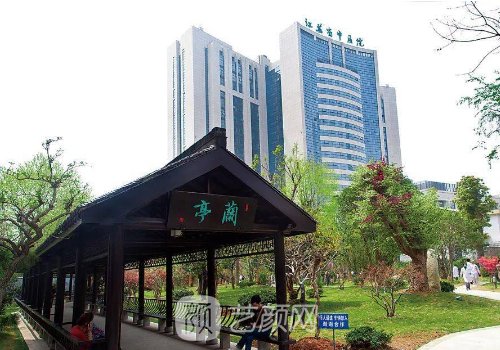 江蘇省中醫(yī)院整形外科陳