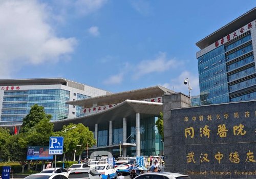 武漢同濟醫(yī)院整形外科專