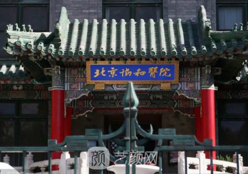 曾昂隆胸多少錢?實(shí)力、技