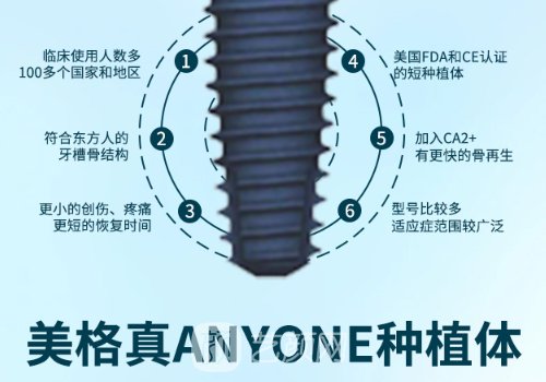 韓國美格真和登騰哪個好