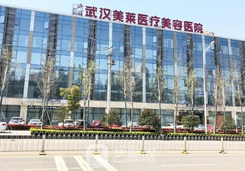 武漢美萊和華美哪個醫(yī)院