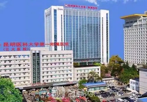 昆明豐胸整形要多少費(fèi)用