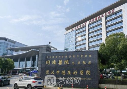 吳毅平和易成剛誰厲害?從